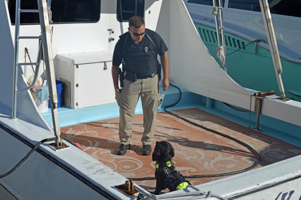 Marine Resources Enforcement Officer Chris Cox works his dog, Gaines.
